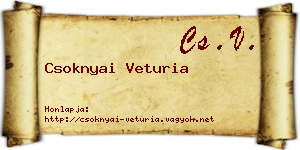 Csoknyai Veturia névjegykártya